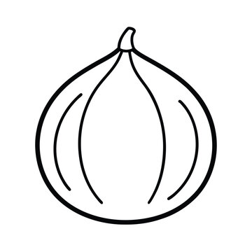 recommend clip art: desert fig fruit line art vector illustration