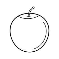 coconut fruit line art vector illustration