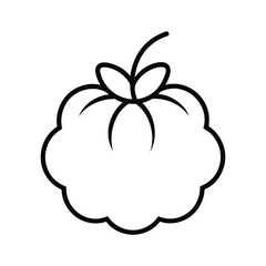 cloudberry fruit line art vector illustration