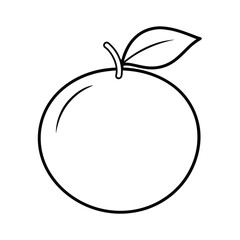 clementine fruit line art vector illustration