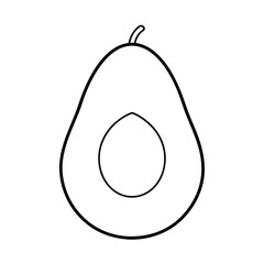avocado fruit line art vector illustration