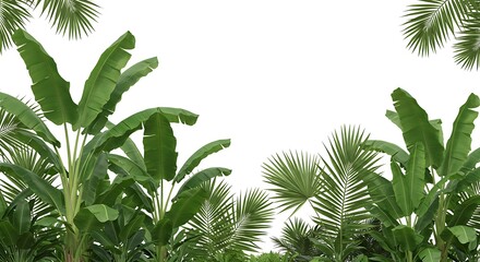 Lush Banana Leaves & Palm Fronds: Tropical Paradise AI Generated