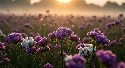 Fototapeta premium Sunrise Serenity: Purple and White Flowers in a Misty Field AI Generated