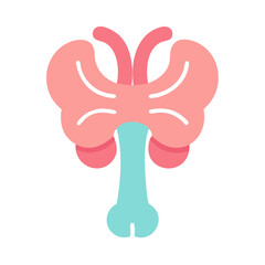 Fototapeta premium Brainstem Anatomy Icon Design