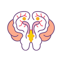  Stylish Brainstem Anatomy Icon