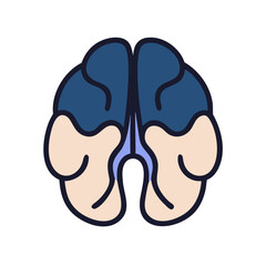  Modern Cerebellum Anatomy Icon