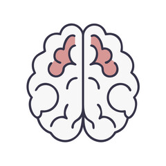  Creative Corpus Callosum Anatomy Icon