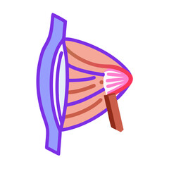  External Oblique Muscle Anatomy Icon Design
