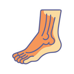  Creative Foot Anatomy Icon