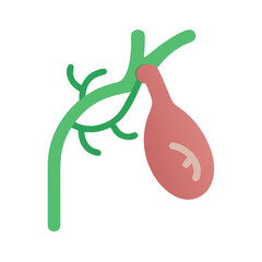  Creative Gallbladder Anatomy Icon