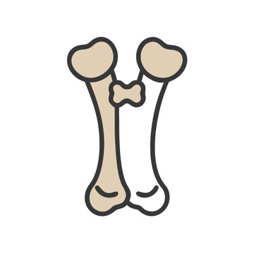  Modern Hamate Bone Anatomy Icon