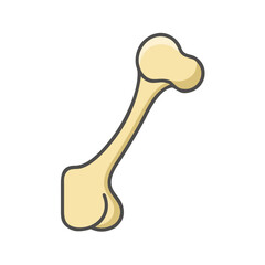  Unique Humerus Bone Anatomy Icon