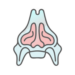  Inferior Nasal Concha Bone Anatomy Icon