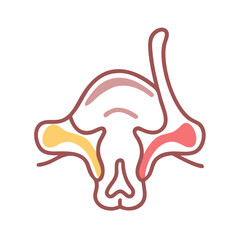 Obraz premium Stylish Inferior Nasal Concha Anatomy Icon