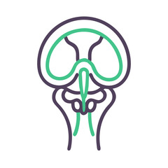  Creative Lacrimal Bone Anatomy Icon