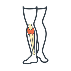  Stylish Leg Anatomy Icon