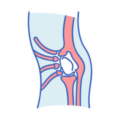  Ligament Anatomy Icon Design