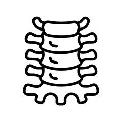  Distinct Lumbar Vertebrae Anatomy Icon