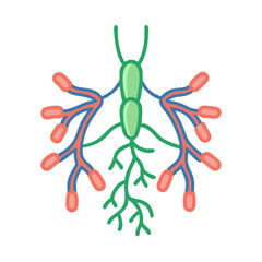  Modern Lymph Node Anatomy Icon