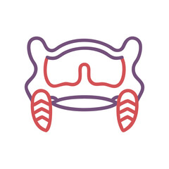  Modern Maxilla Anatomy Icon © Xihan