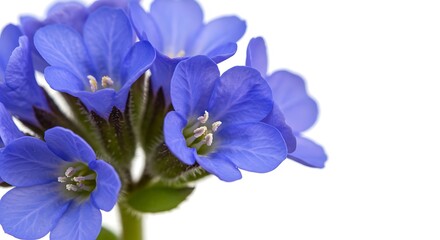 Azure Embrace AI Generated