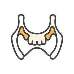  Unique Maxilla Anatomy Icon