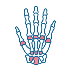 Fototapeta premium Metacarpals Bone Anatomy Icon