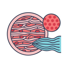  Creative Muscular Tissue Anatomy Icon