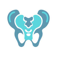 Obraz premium pelvis-anatomy-icon-