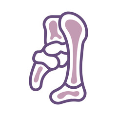 Obraz premium Modern Pisiform Bone Anatomy Icon