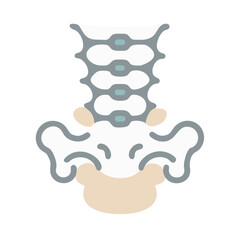  Sacral Vertebrae Anatomy Icon Design