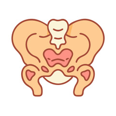  Creative Sacrum Anatomy Icon