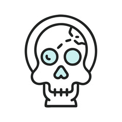  Stylish Skull Anatomy Icon