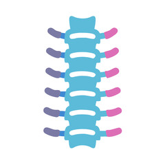  Spine Anatomy Icon Design