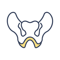  Modern Sphenoid Bone Anatomy Icon