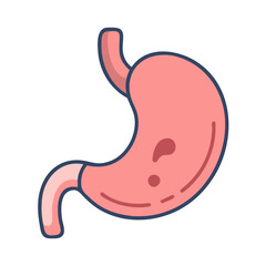  Stomach Anatomy Icon Design
