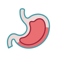 Stylish Stomach Anatomy Icon
