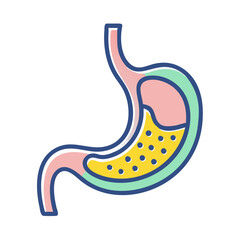  Modern Stomach Anatomy Icon