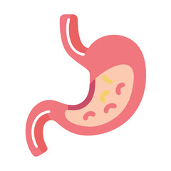  Creative Stomach Anatomy Icon