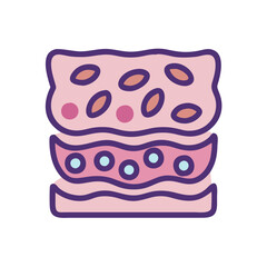  Stratified Epithelial Tissue Anatomy Icon Design