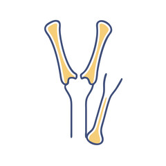  Modern Styloid Process Ulna Anatomy Icon