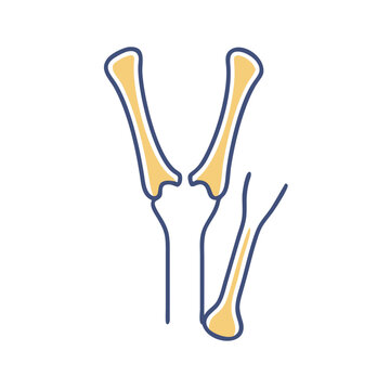  Modern Styloid Process Ulna Anatomy Icon