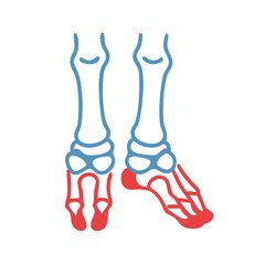  Stylish Tarsal Bones Structure Anatomy Icon