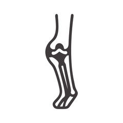  Stylish Tibia Structure Anatomy Icon