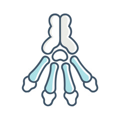 Obraz premium Triquetrum Bone Anatomy Icon Design