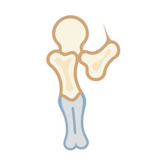  Stylish Triquetrum Bone Anatomy Icon