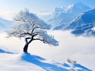 Lone tree covered in frost on a snowy hill with majestic mountains and fog in the background on a bright winter day scenic landscape