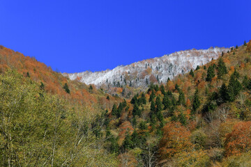 Footage of snow-capped mountains, forests and autumn colors.