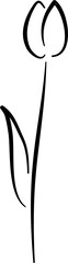 tulip line art flower decoration 