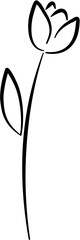 tulip line art flower decoration 